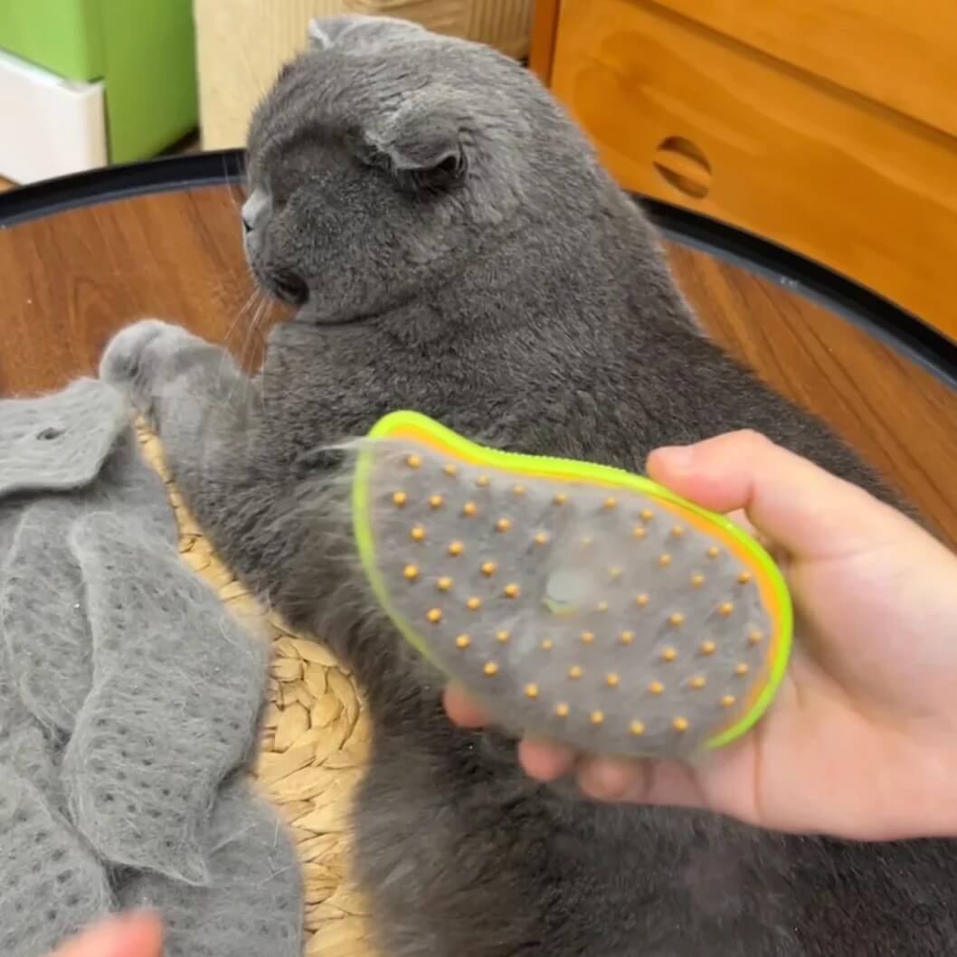 ✨ Cepillo a Vapor 3 en 1: Control de Pelos, Limpieza Profunda y Massaje para tu Mascota. 🐾