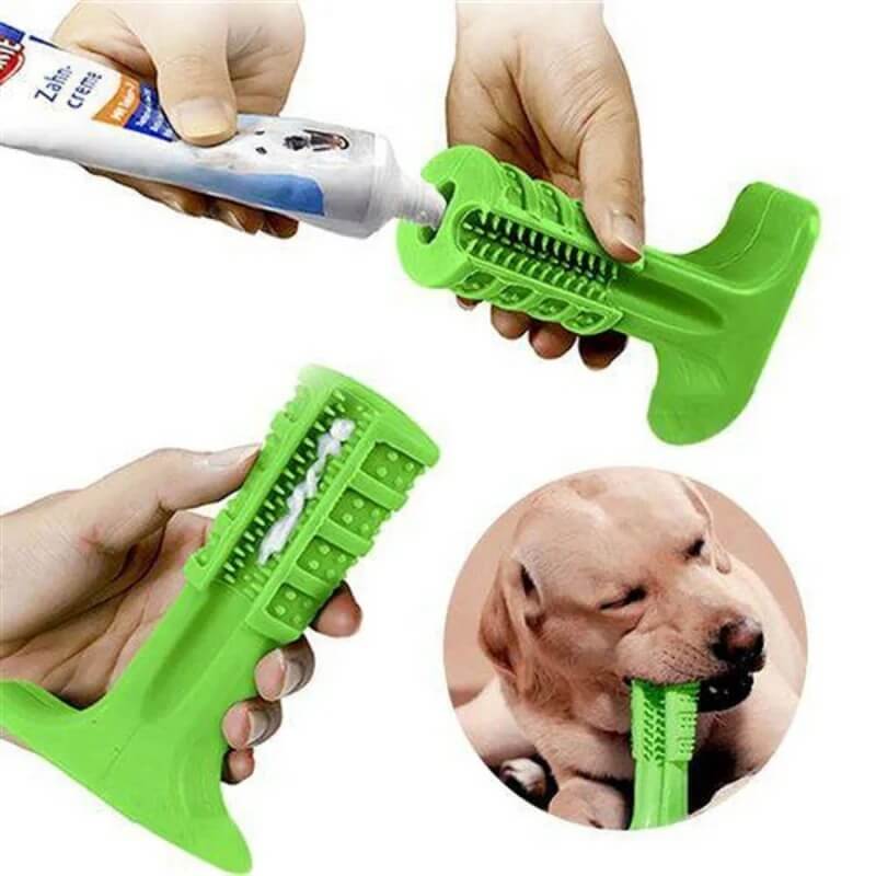 ¡Descubre el Cepillo Dental Antisarro para Mascotas: Sonrisas Saludables y Radiantes! 🐾