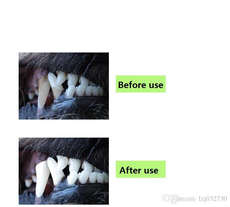 ¡Descubre el Cepillo Dental Antisarro para Mascotas: Sonrisas Saludables y Radiantes! 🐾
