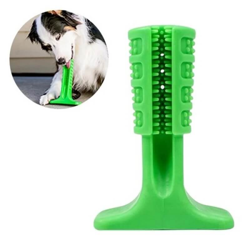 ¡Descubre el Cepillo Dental Antisarro para Mascotas: Sonrisas Saludables y Radiantes! 🐾