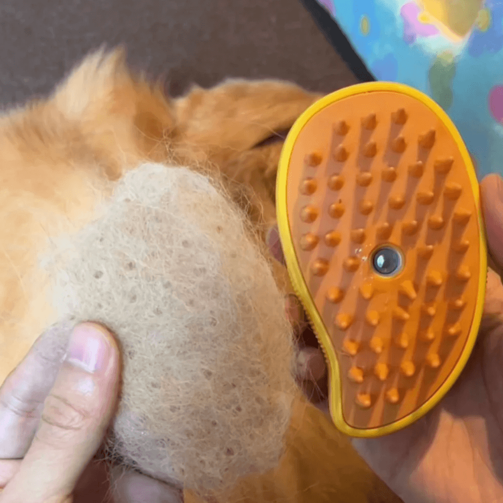 ✨ Cepillo a Vapor 3 en 1: Control de Pelos, Limpieza Profunda y Massaje para tu Mascota. 🐾