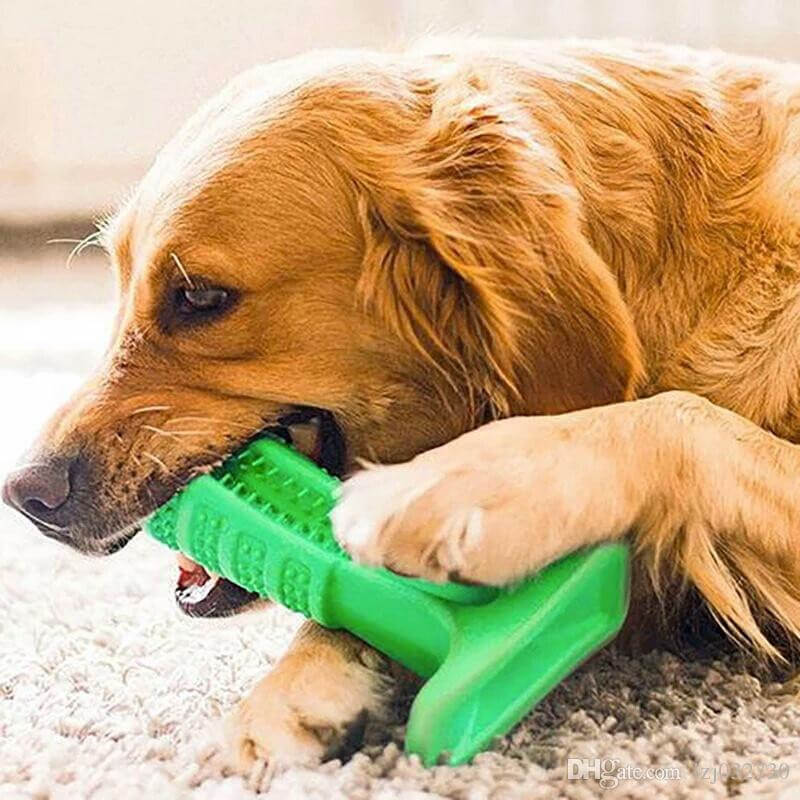 ¡Descubre el Cepillo Dental Antisarro para Mascotas: Sonrisas Saludables y Radiantes! 🐾