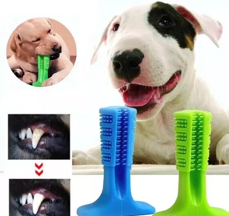 ¡Descubre el Cepillo Dental Antisarro para Mascotas: Sonrisas Saludables y Radiantes! 🐾